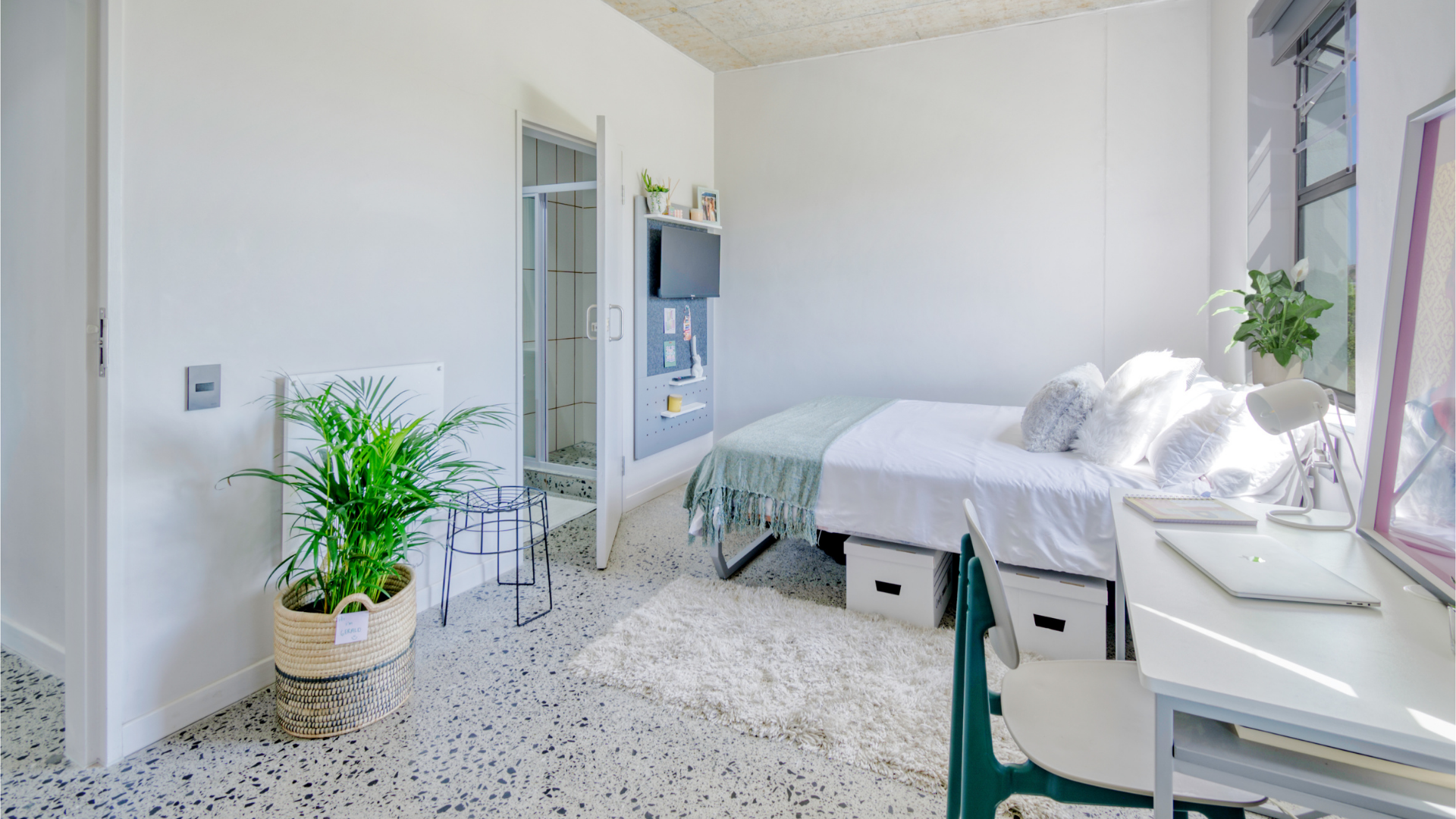 <span>Explorer</span> Three Gold With Lounge